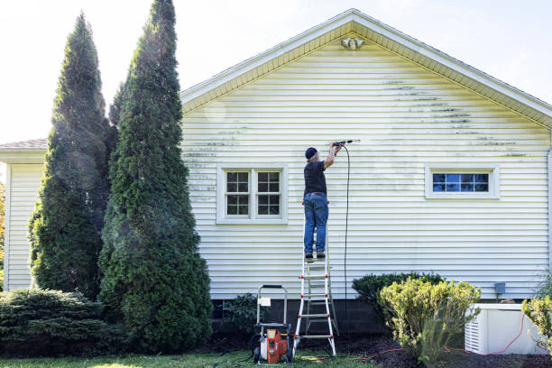 Best Affordable Pressure Washing  in Herricks, NY