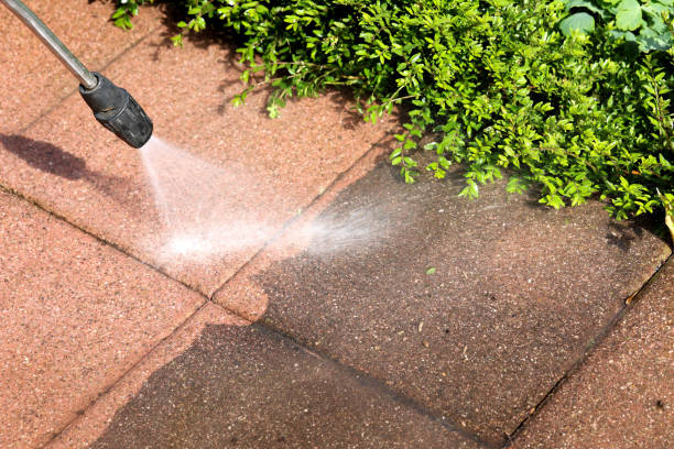 Best Roof Pressure Washing  in Herricks, NY